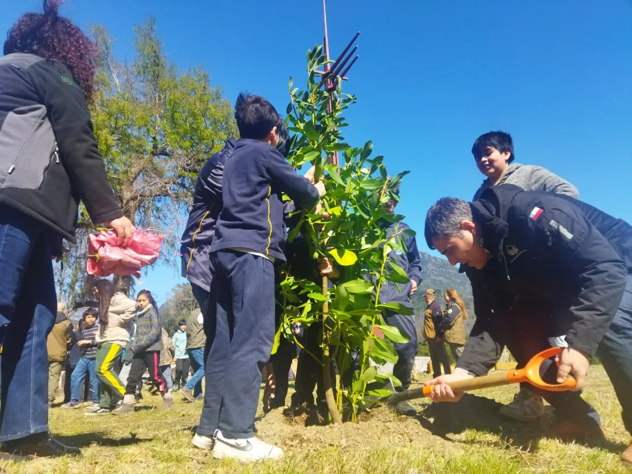 Parque del Monumento al “Padre Pancho” fue reforestado por estudiantes de Pucón – Website de la Municipalidad de Pucón